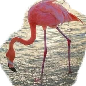 Meet your Posher, Kimberley